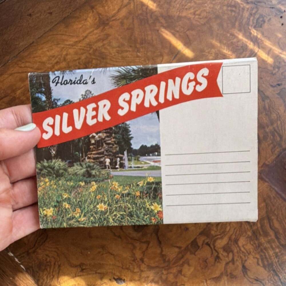 Vintage Florida's Silver Springs Fold-Out Topographical Postcard Booklet